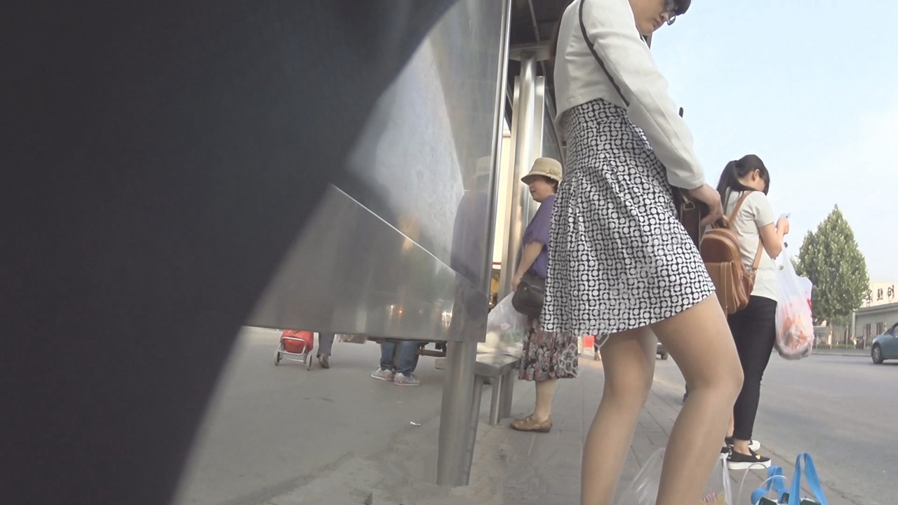 WL系列街拍美女视频合集[21.3G]